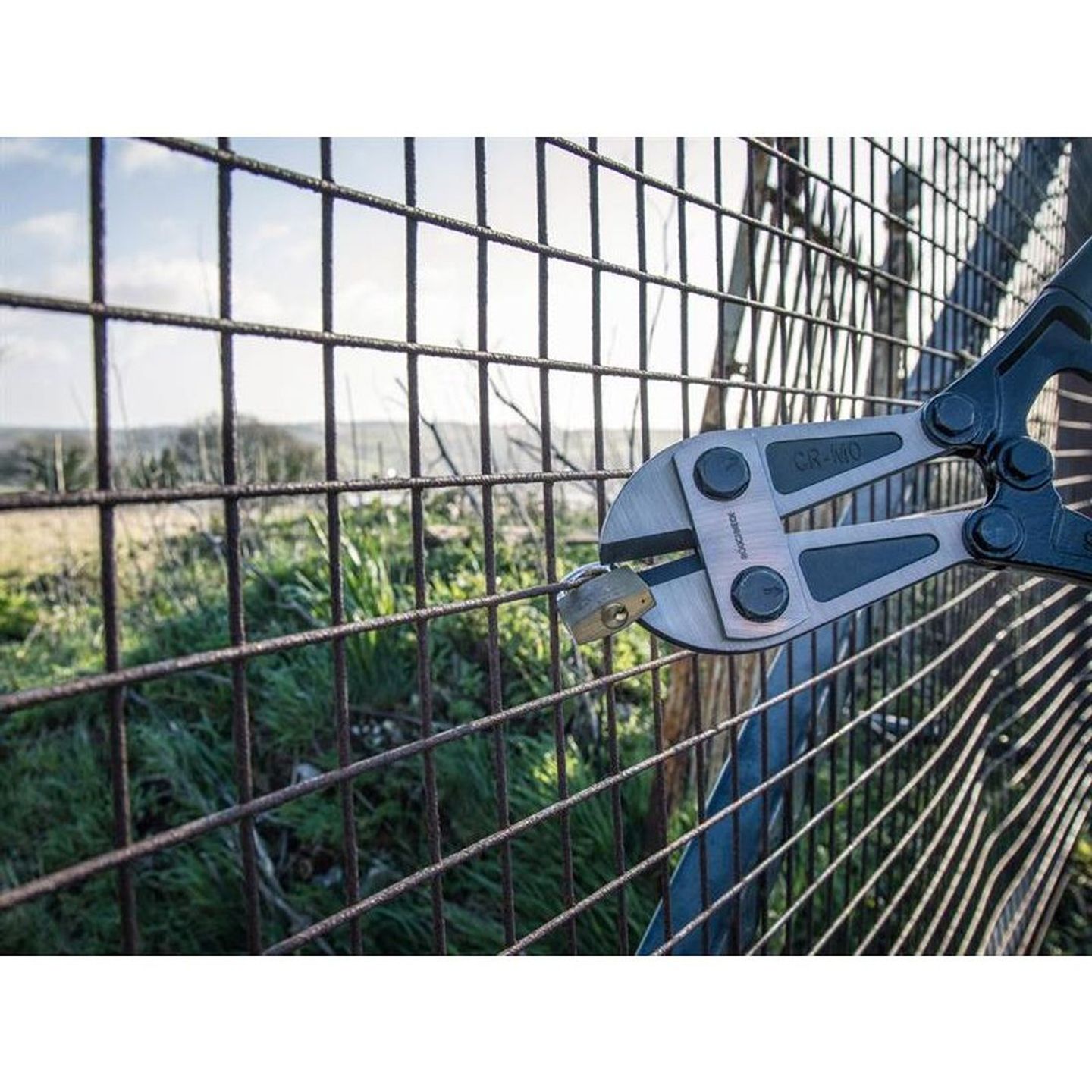 cutting a padlock pinned to the metal fence using bolt cutters