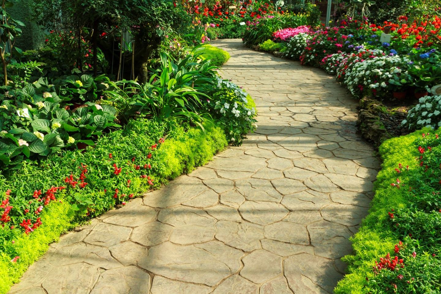 an uneven rock garden path surrounded by bright lush plants