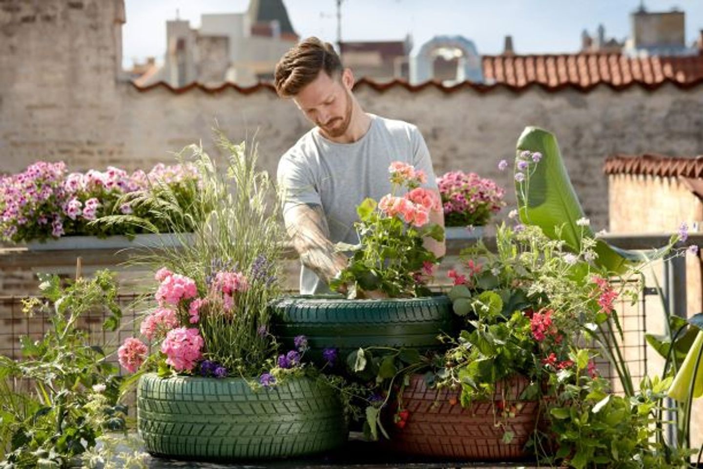 man taking care of flowers in the garden pot