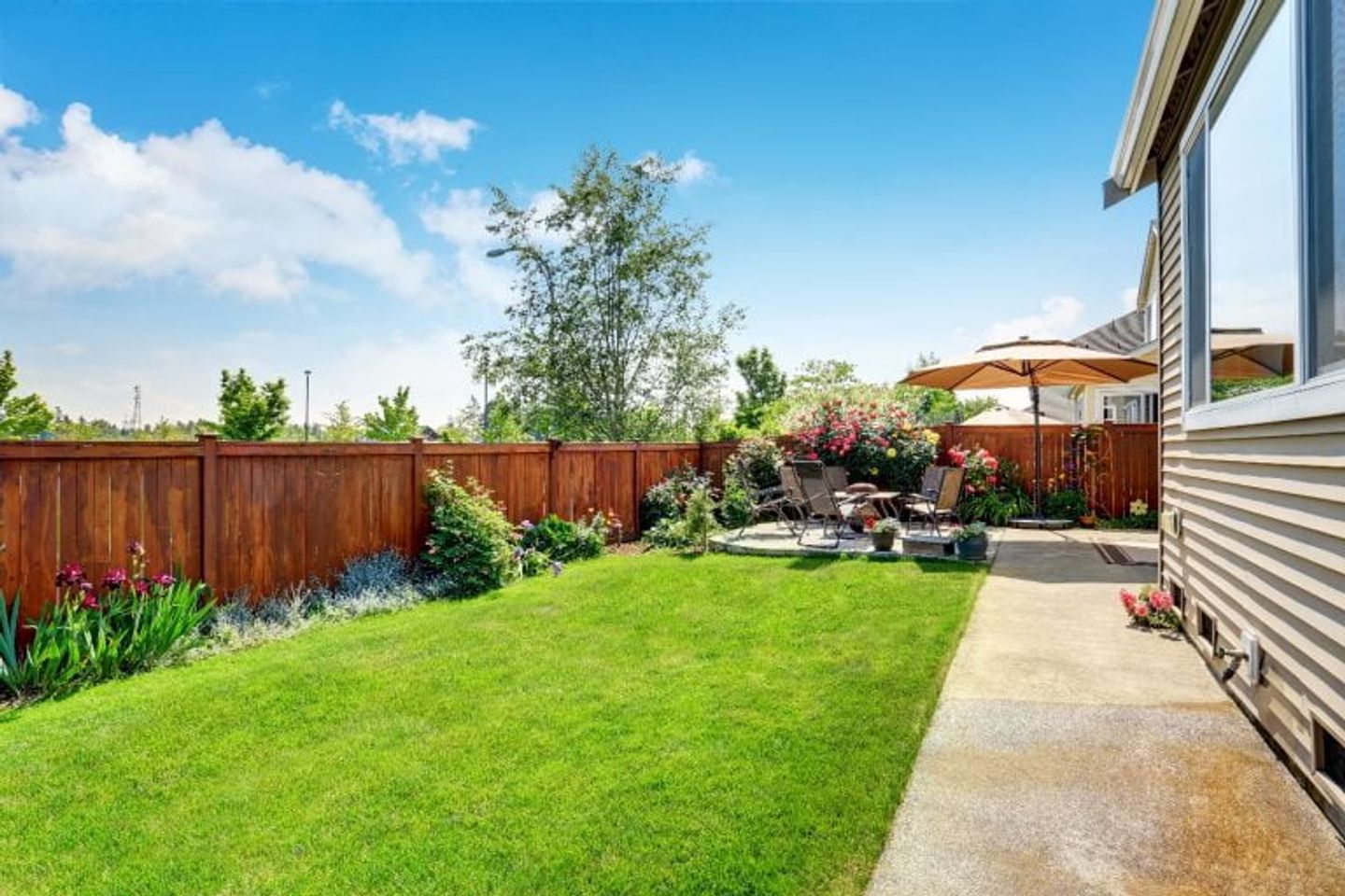 a sunny garden backyard and patio with garden furniture and umbrella