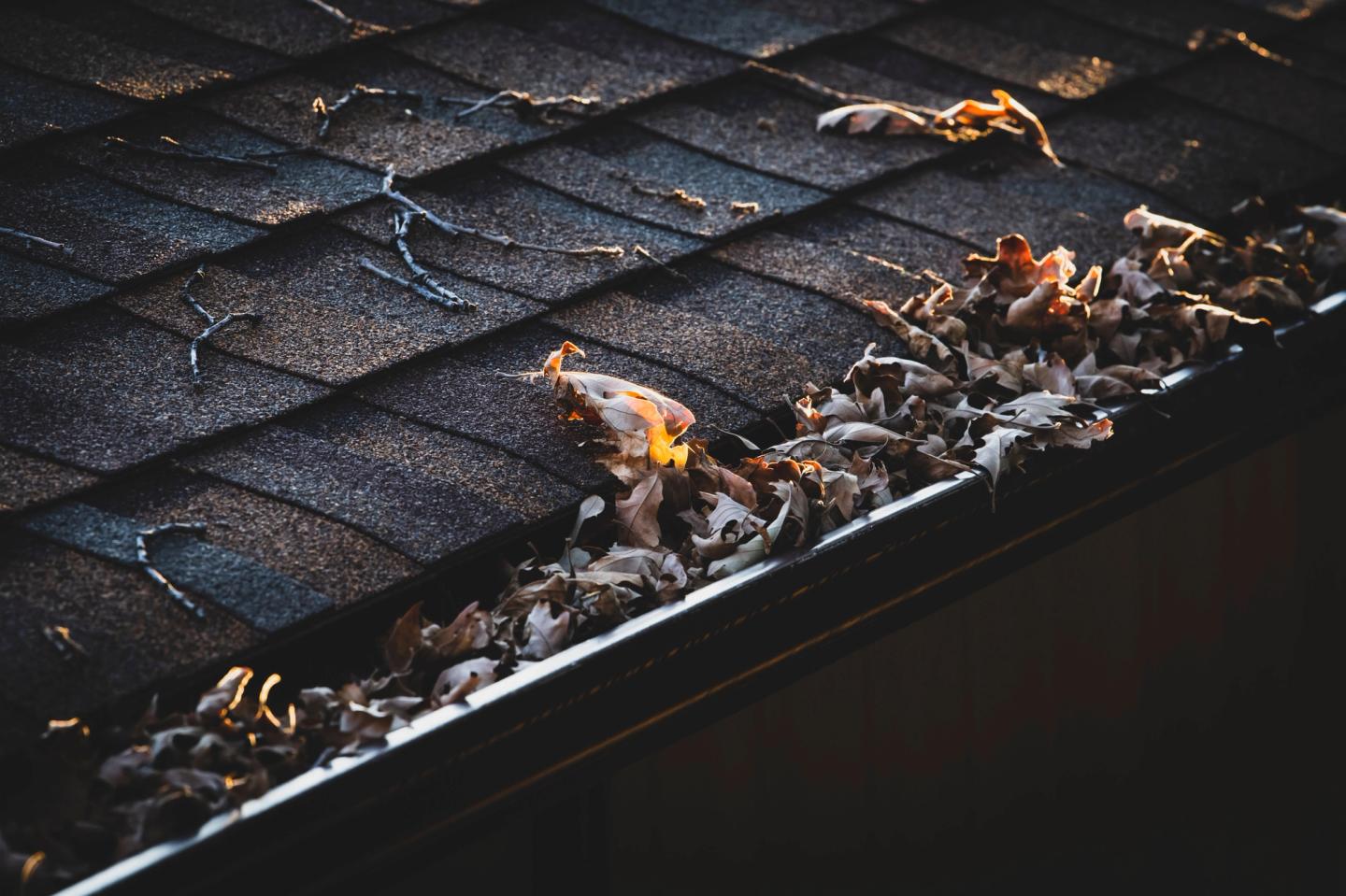 a roof and a gutter filled with leaves and dirt