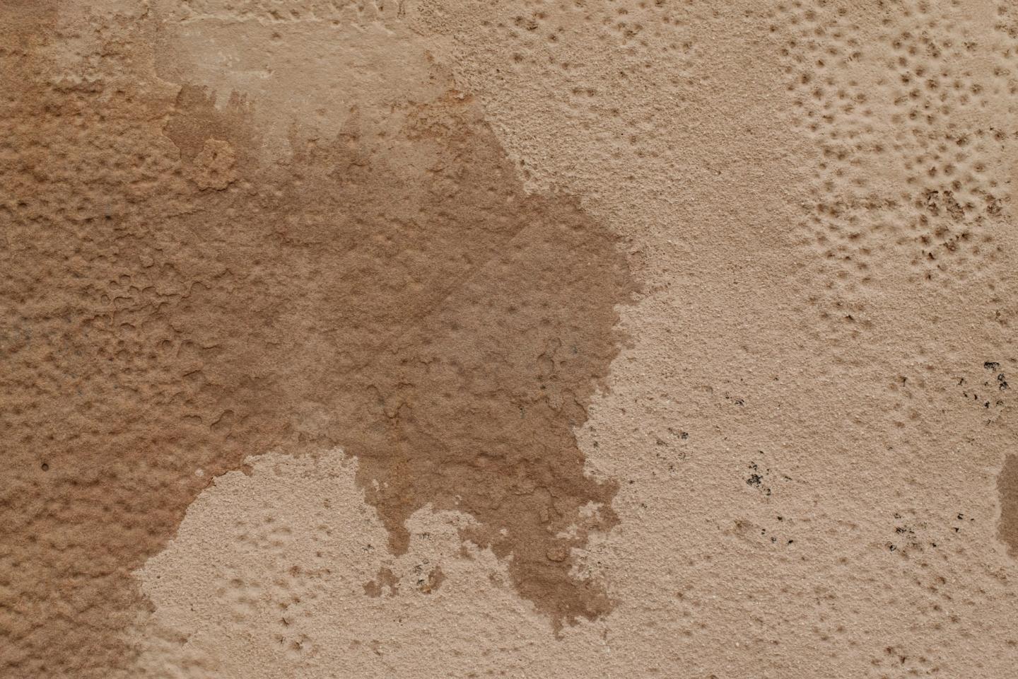 Damp interior wall.