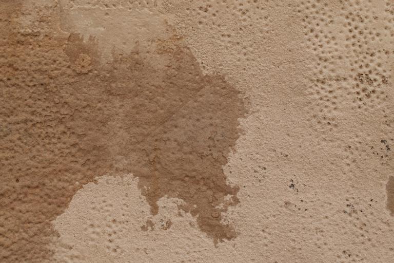 Damp interior wall.