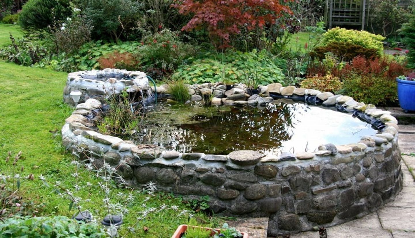 a garden pond