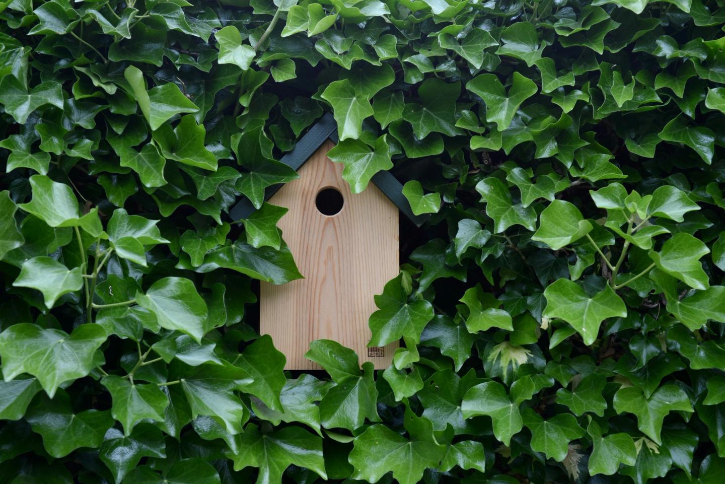 bird house
