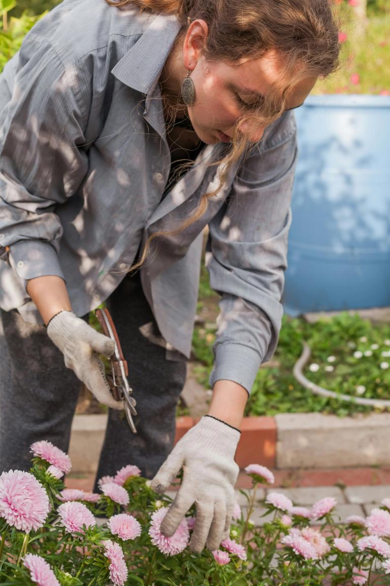 Gardener tending to her flower bed