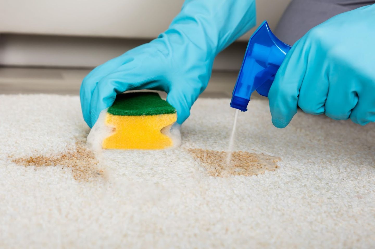 cleaning heavy duty carpet stains with sponge