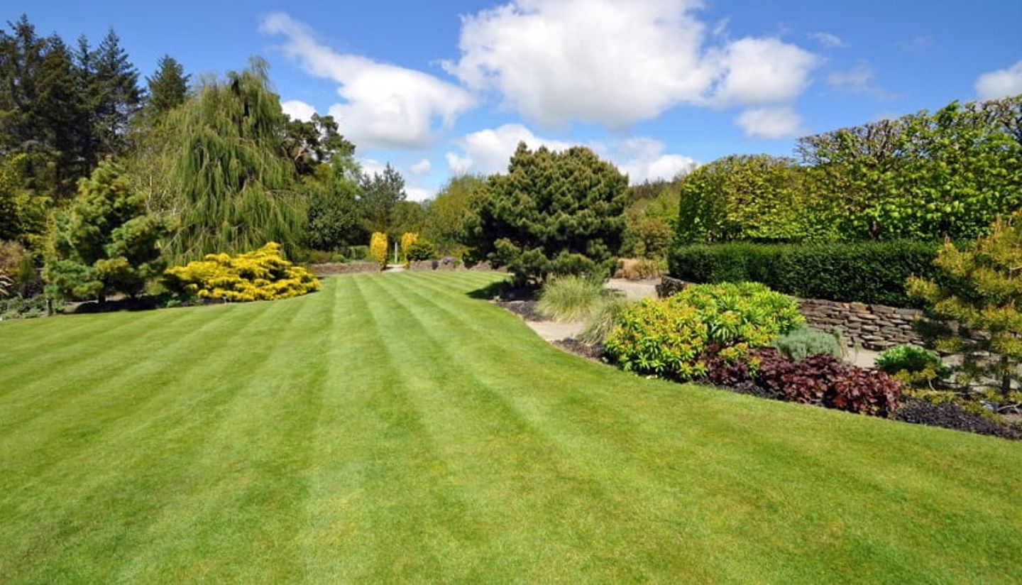 a large garden with neatly cut grass