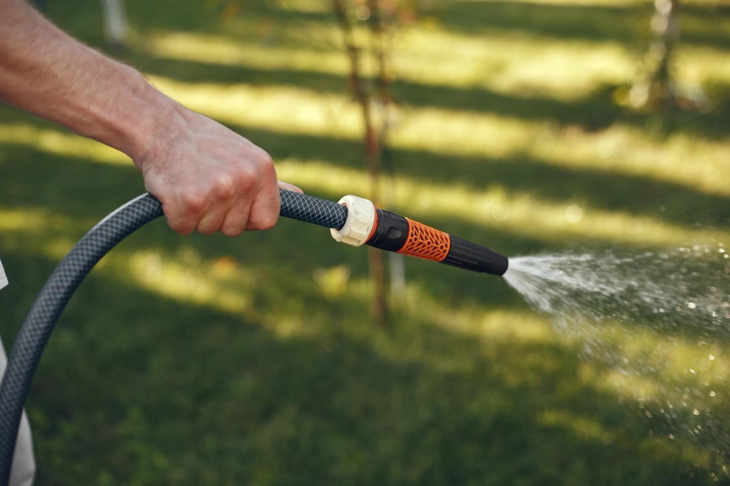 Someone watering their lawn