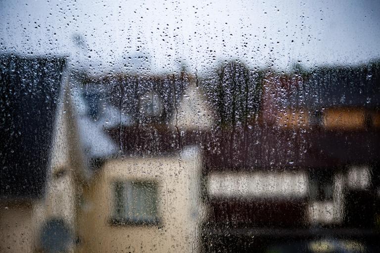 rainy window