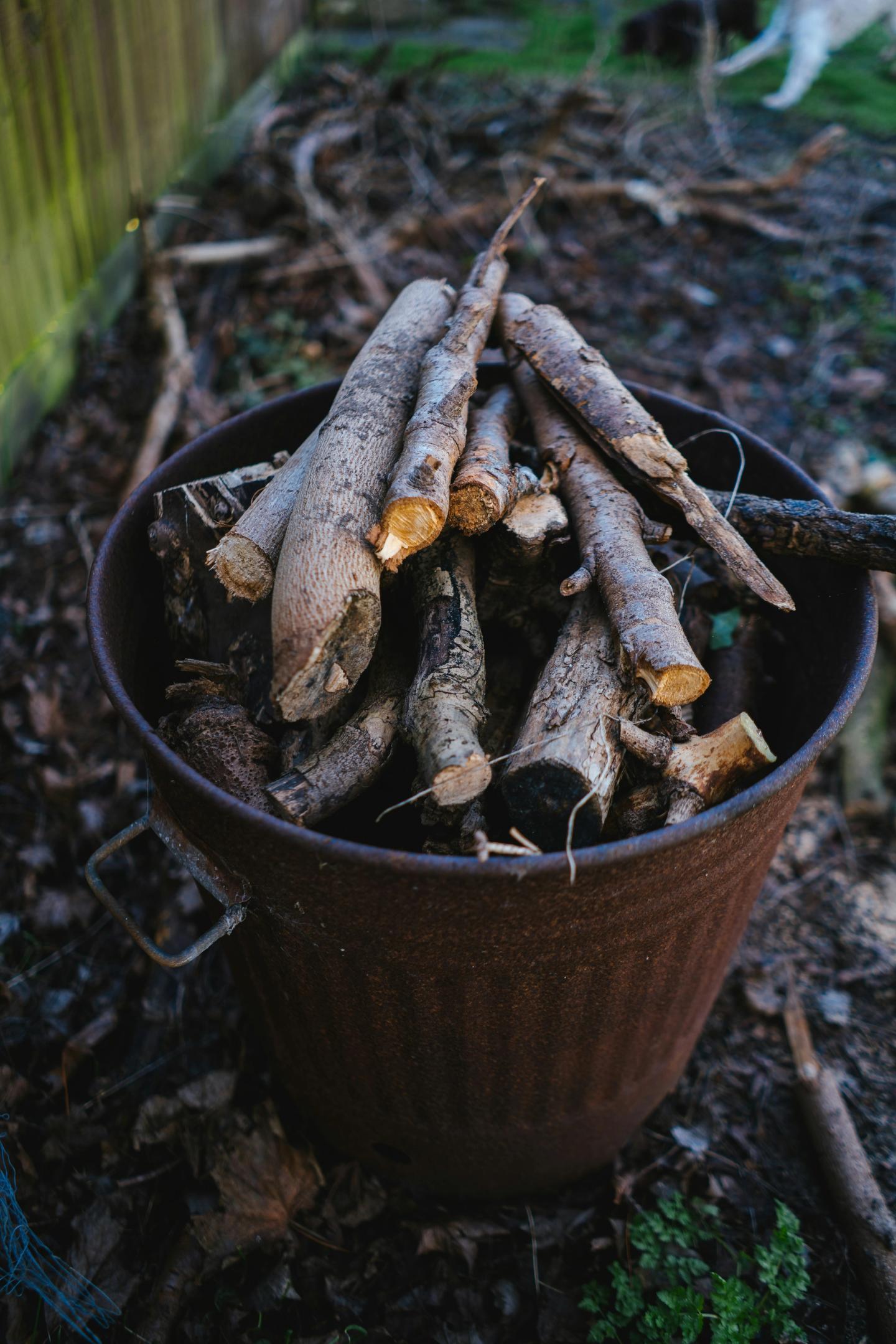 branches in a bucket ready to be chipped