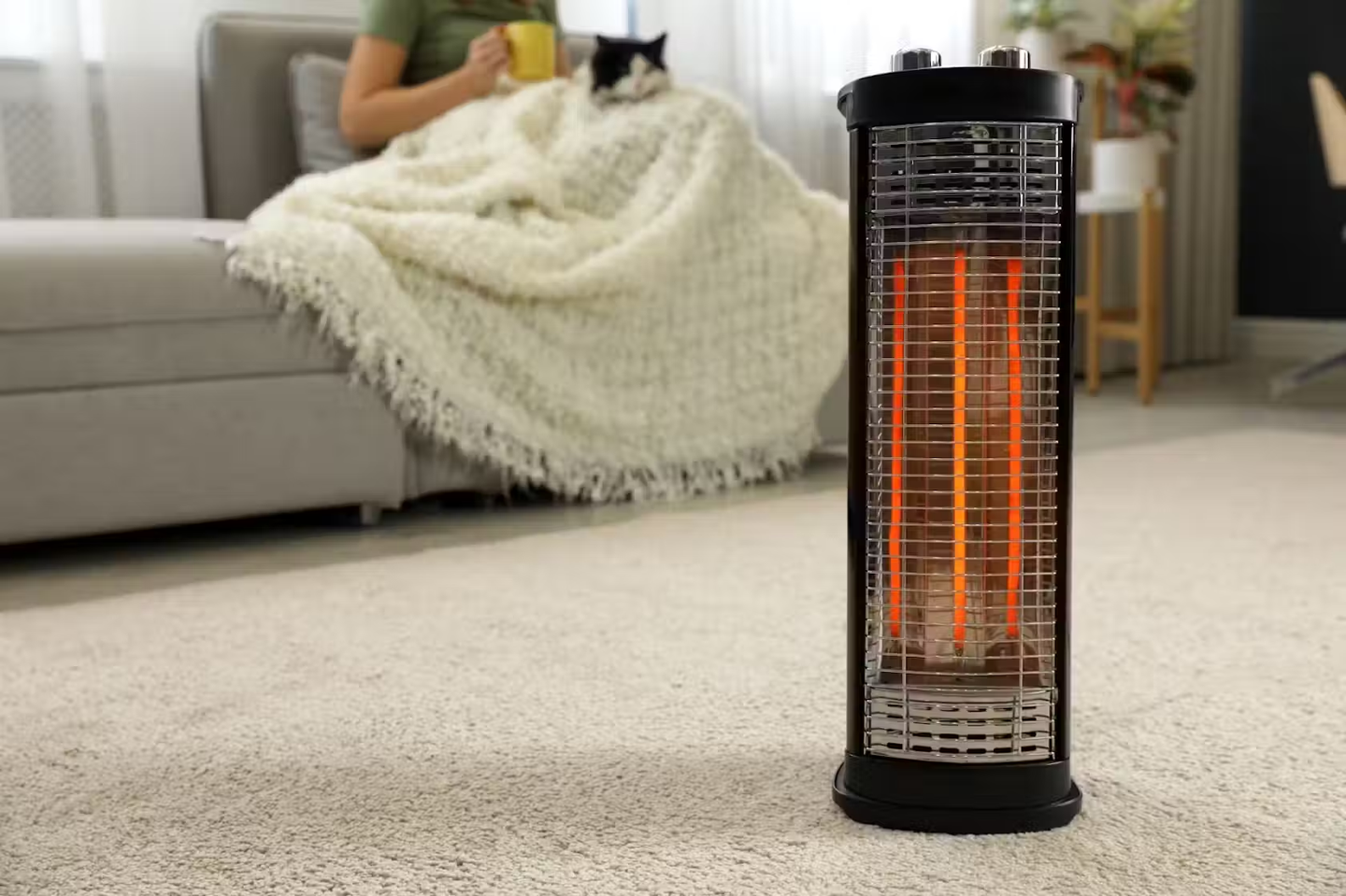An electrical heater placed in a living room