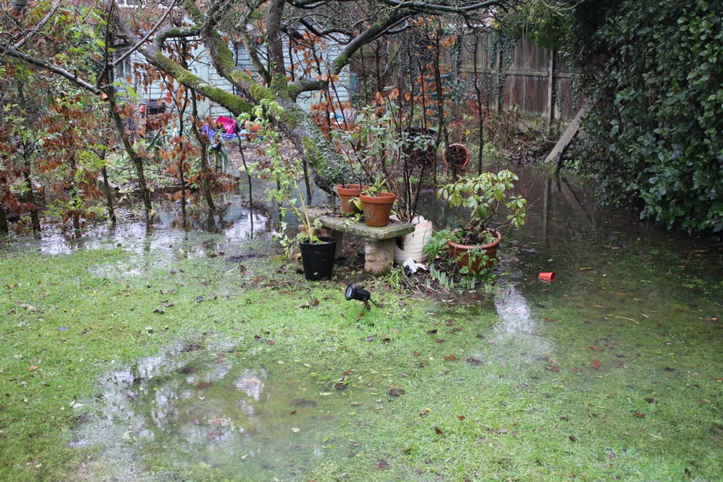 a flooded garden