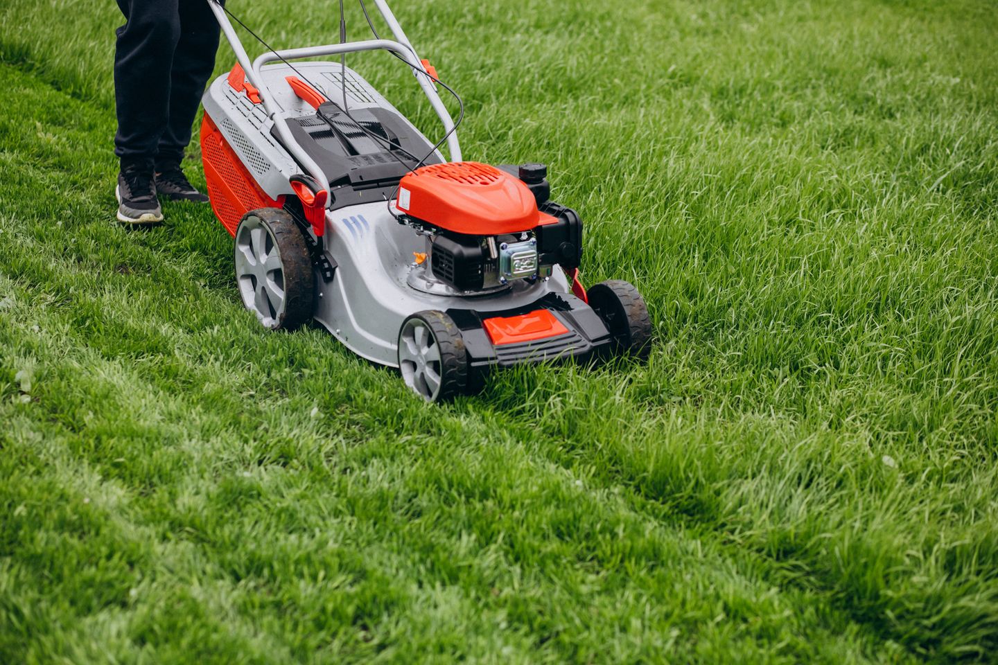mowing the lawn using cordless lawnmower