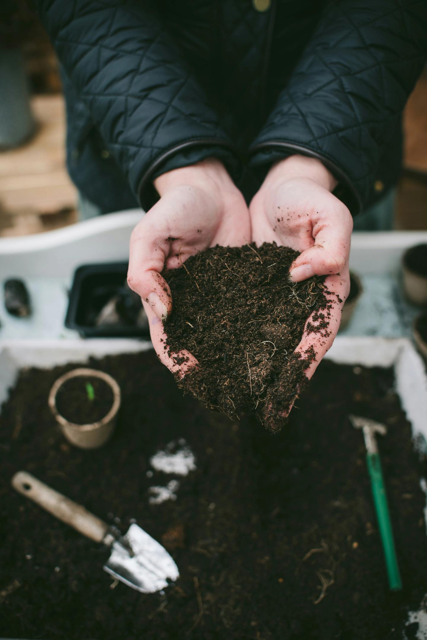 gardener planting plants with top soil