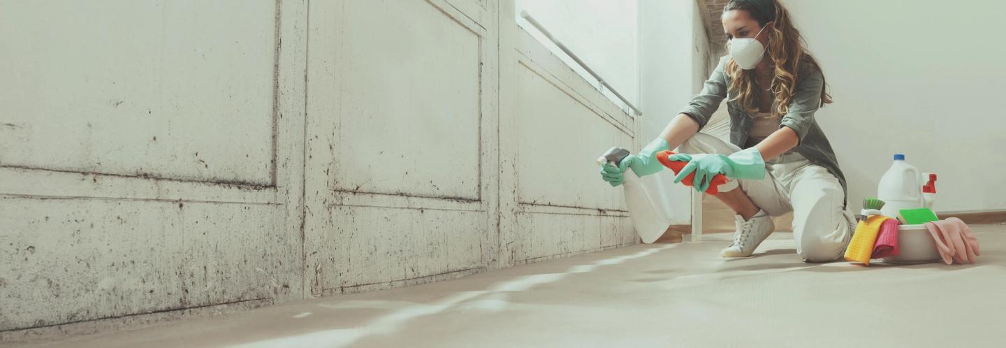 Home Leisure & Car Care