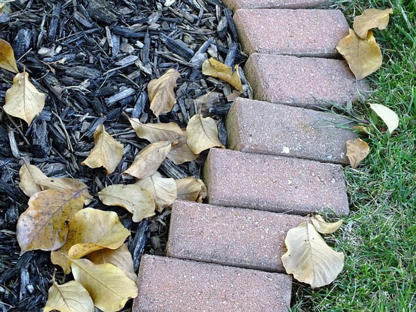 bricks wood chips and grass