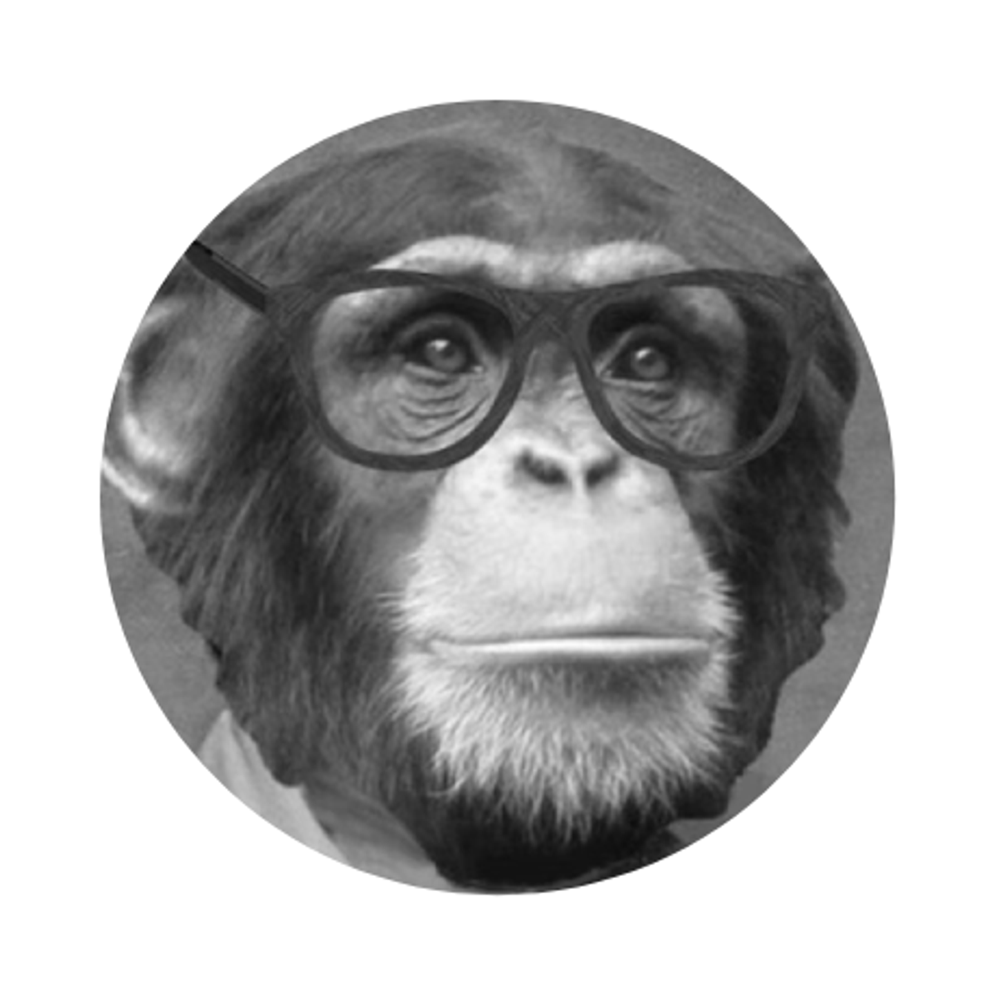 author ape