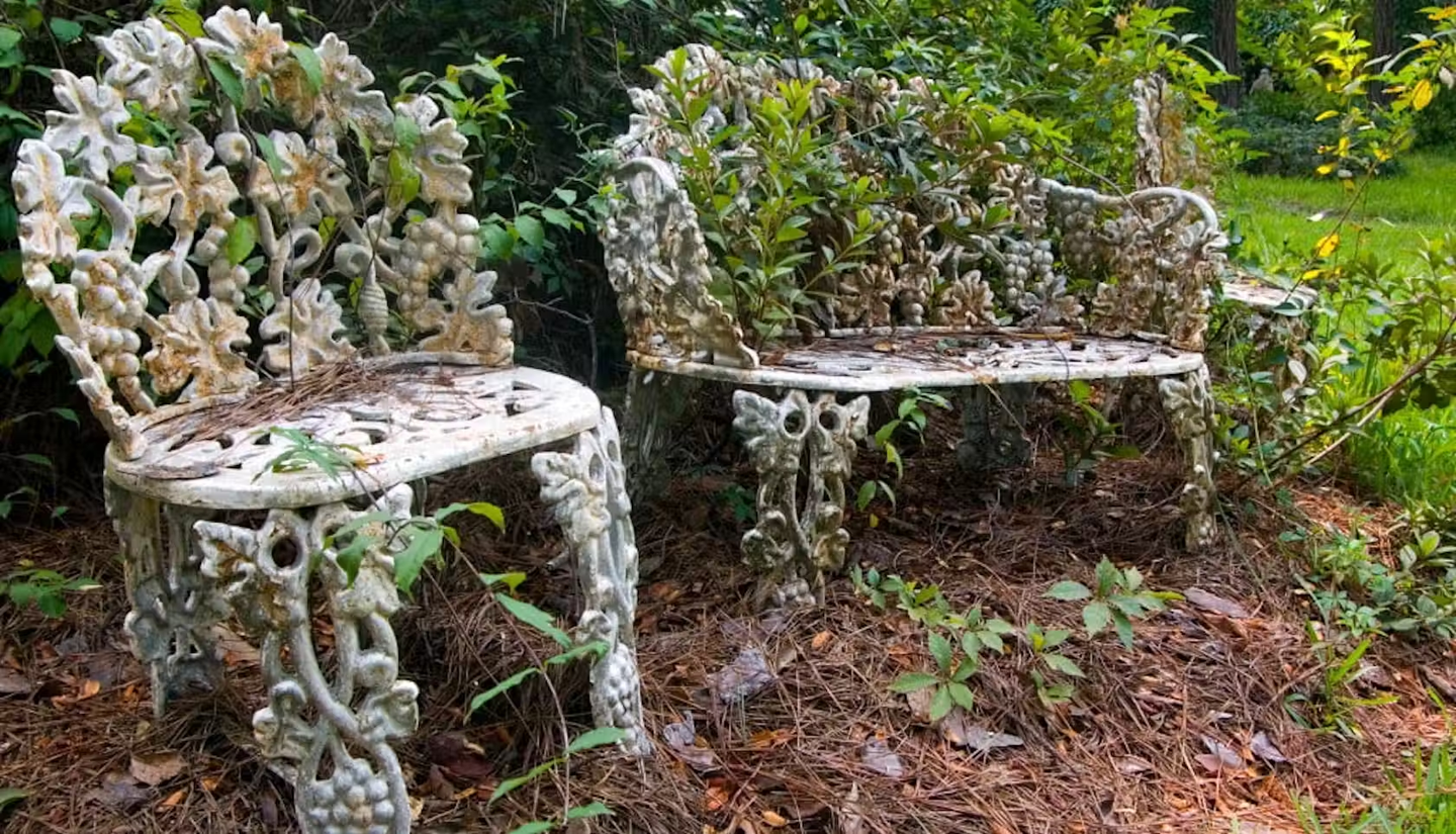 Garden furniture covered with overgrown plants.
