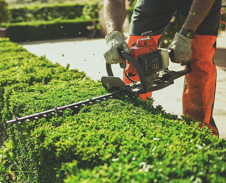 Gardening & Landscaping