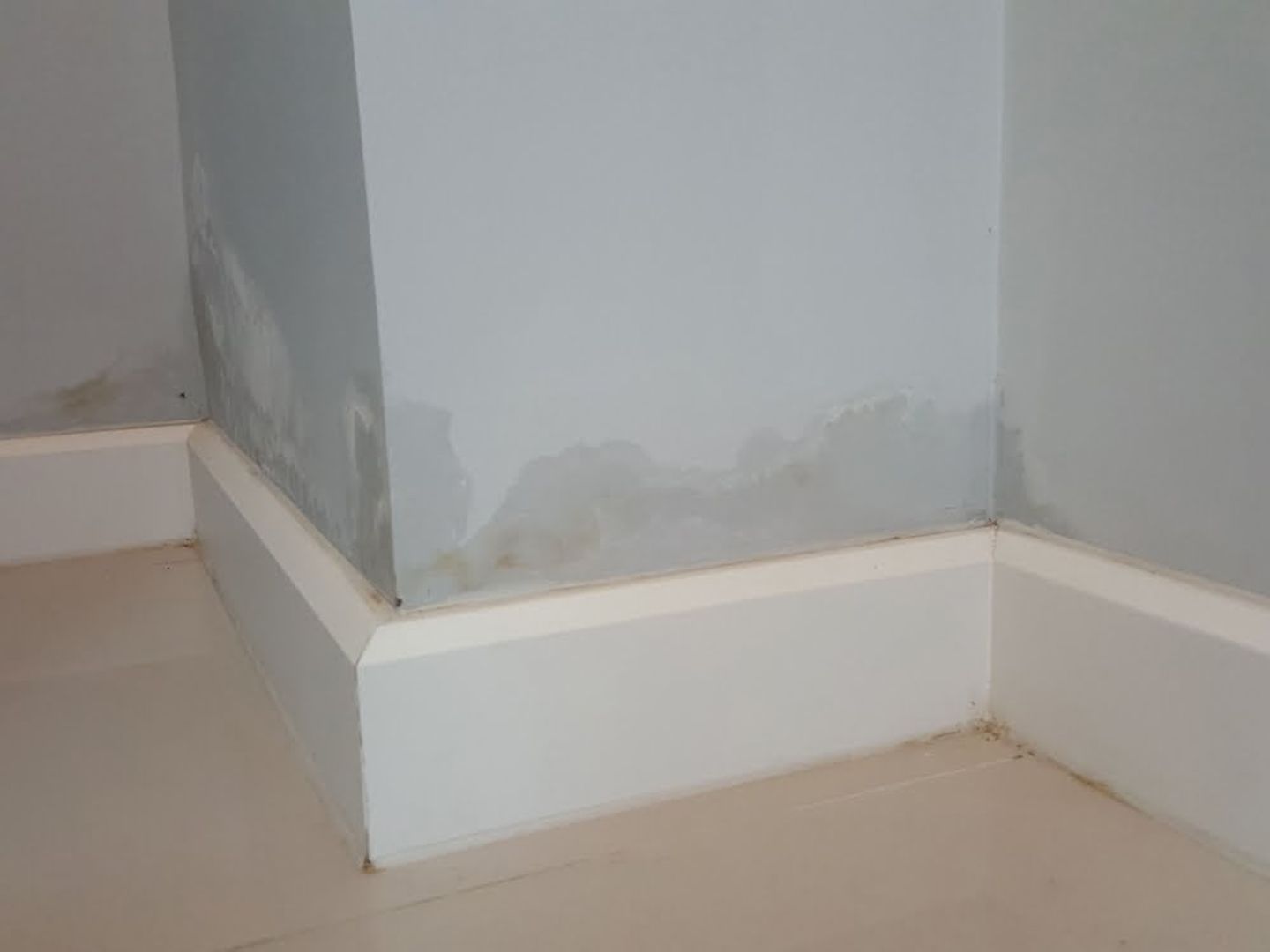 damp wall