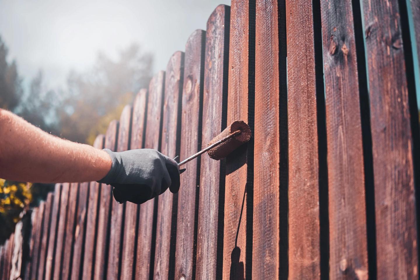 painting the garden fence using the paint roller