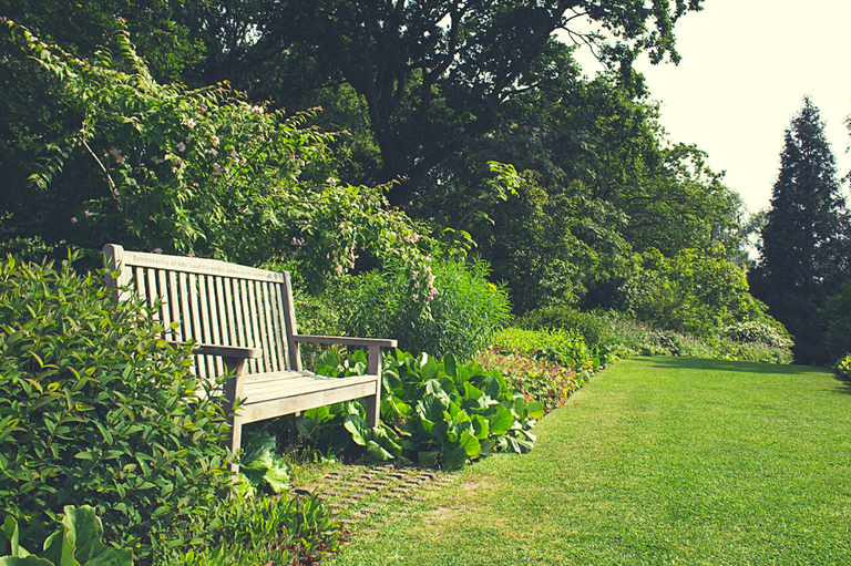 a bench in the garden with a neatly cut grass