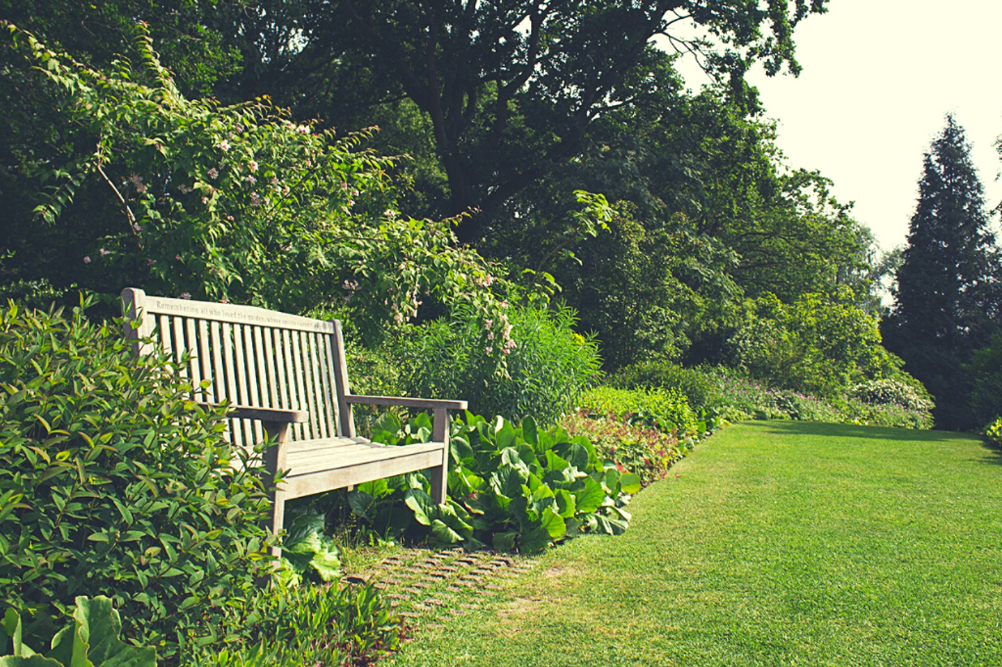 a bench in the garden with a neatly cut grass