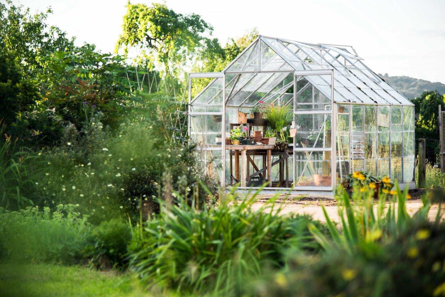 A greenhouse airing out in the garden.