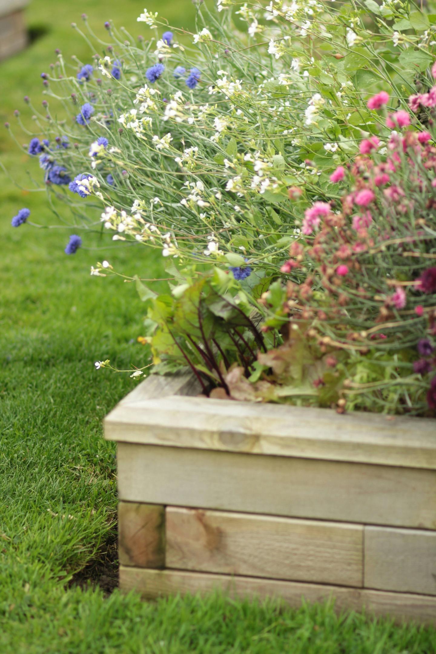 RAISED FLOWER BED