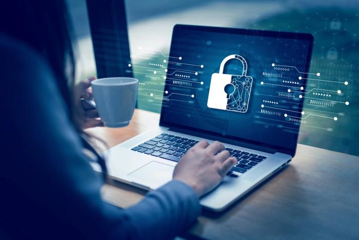 Brand Protection Strategies: Safeguarding Your Domain Against Cyber Threats