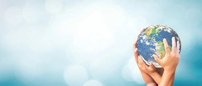 The Environmental Impact of Domain Name Servers: Sustainable Solutions