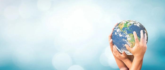 The Environmental Impact of Domain Name Servers: Sustainable Solutions