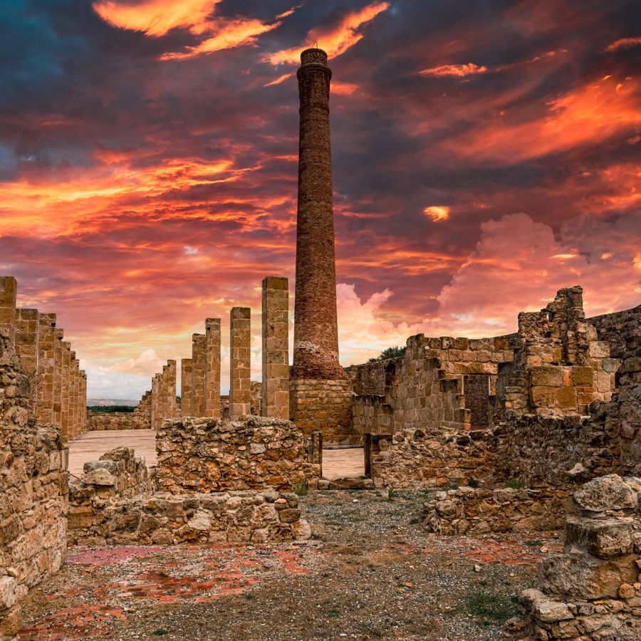 South Coast & White Cliffs Itinerary