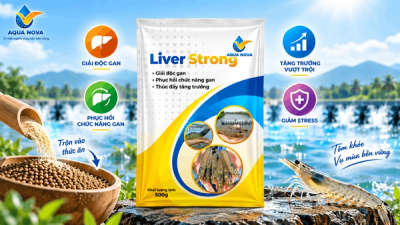 Bao bì sản phẩm Liver Strong của Aqua Nova