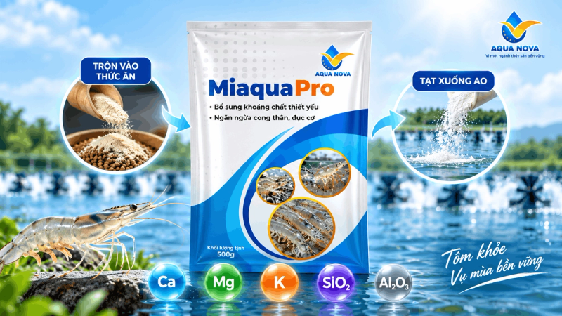 Bao bì sản phẩm Miaqua Pro của Aqua Nova