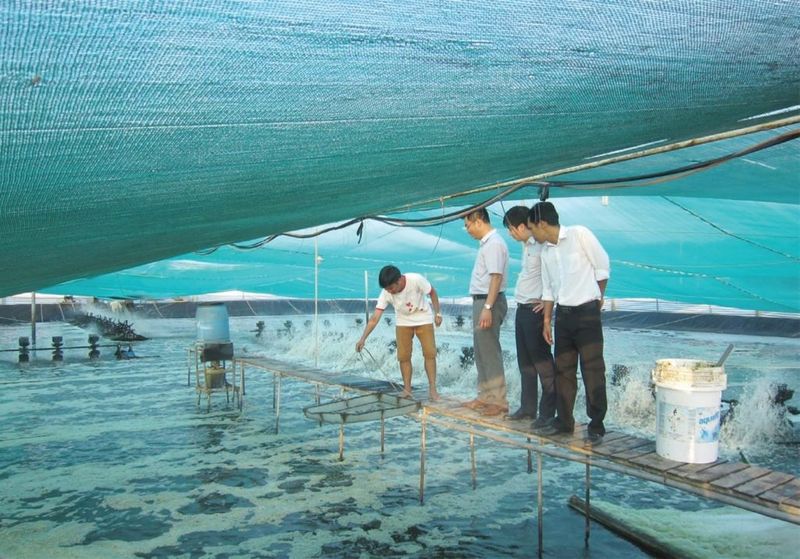 HIen vn
