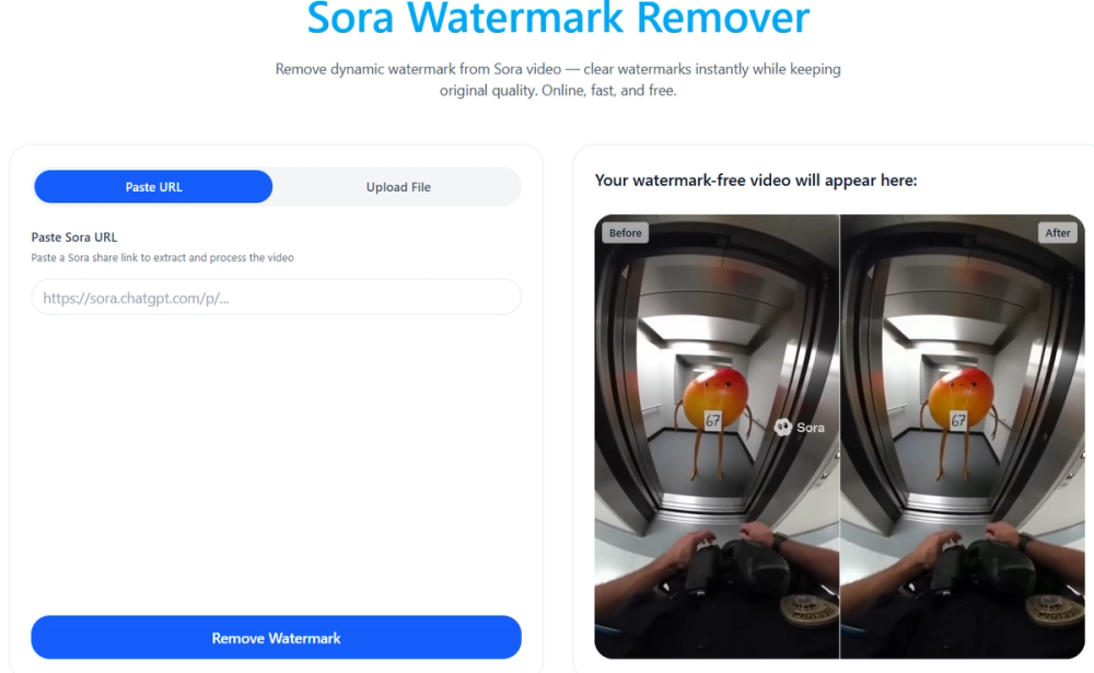 image of Sora Watermark Remover