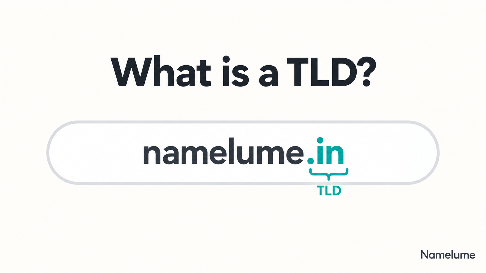 TLD meaning: the .in TLD highlighted in the domain name namelume.in