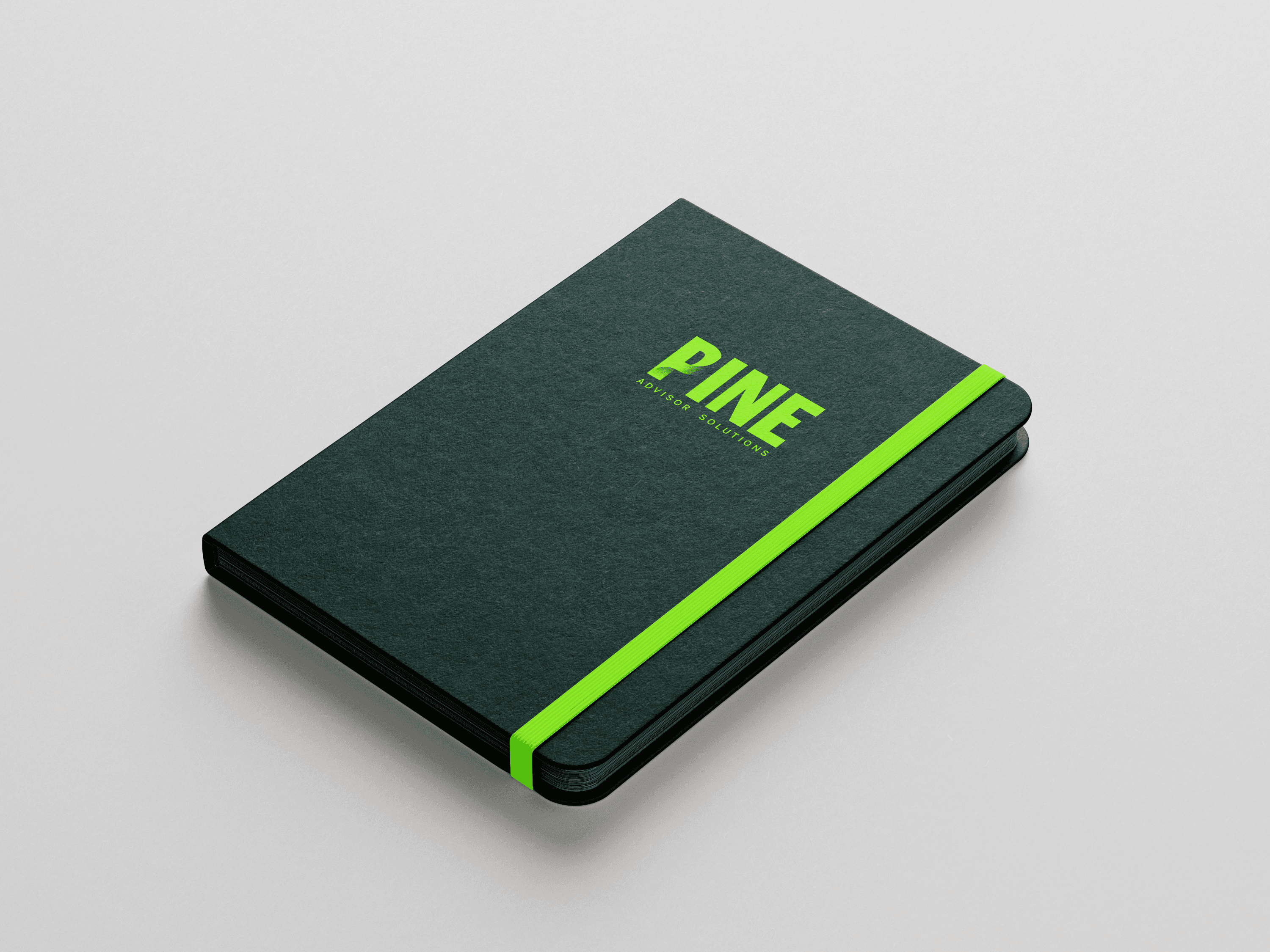 Pine Advisor Solutions — 6