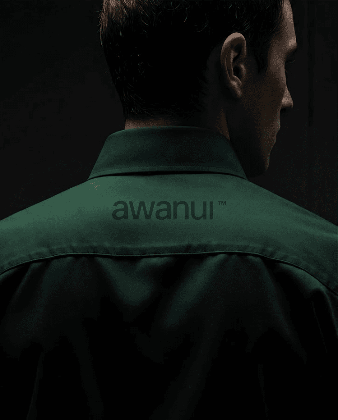 Awanui Electrical — 5