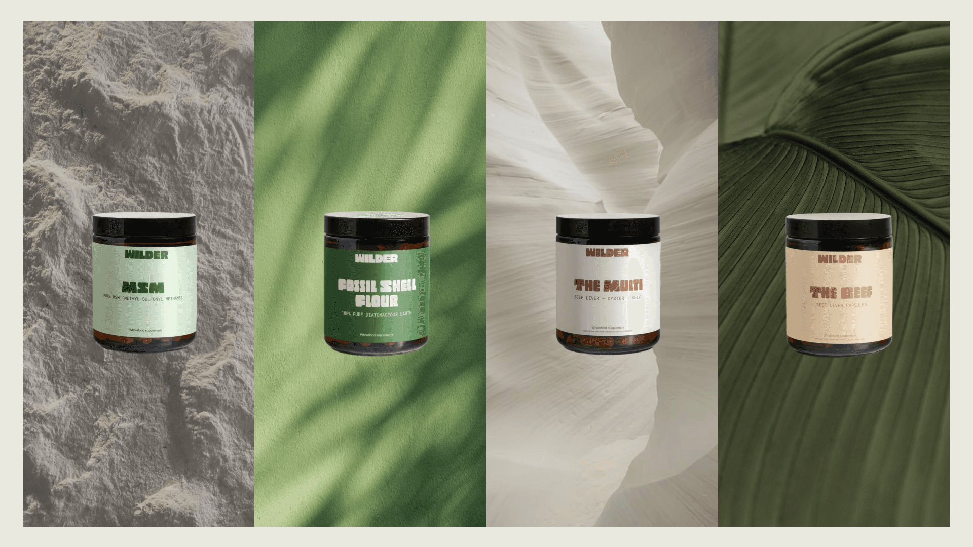 Wilder Health — 4