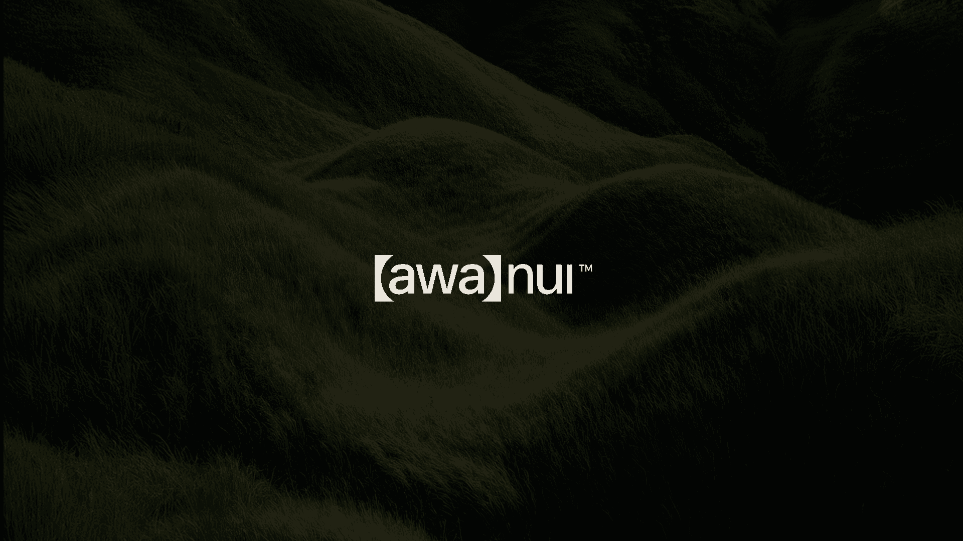 Awanui Electrical