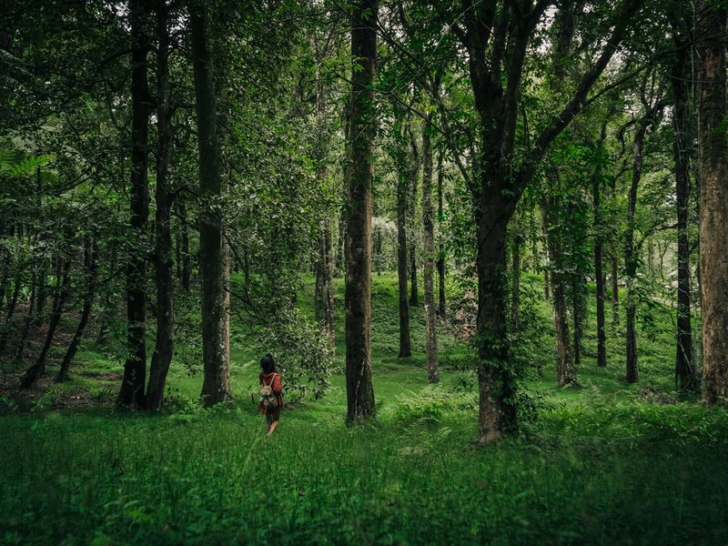 Me & Autism: Building a Space That Says Yes