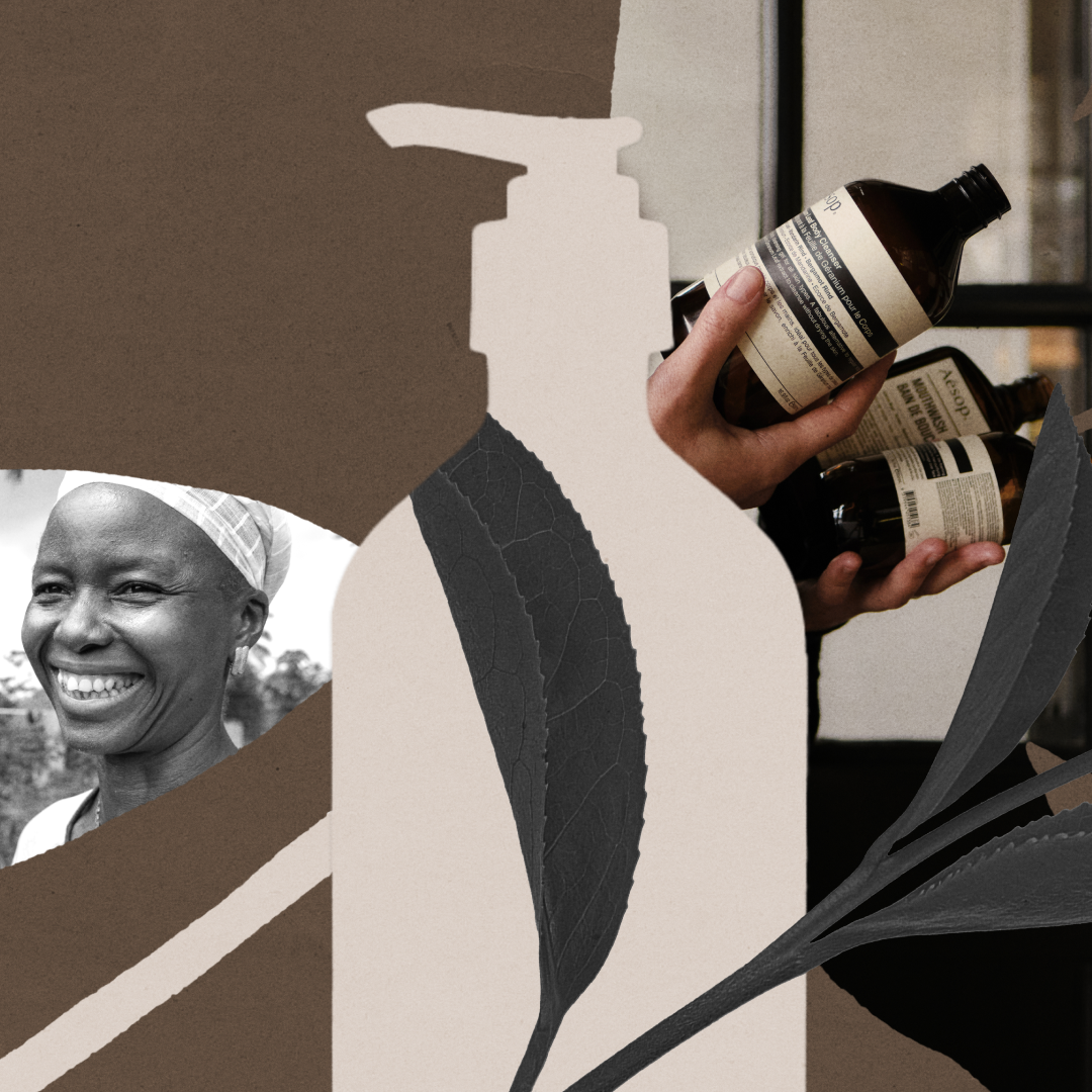 An image of the Aesop impact report