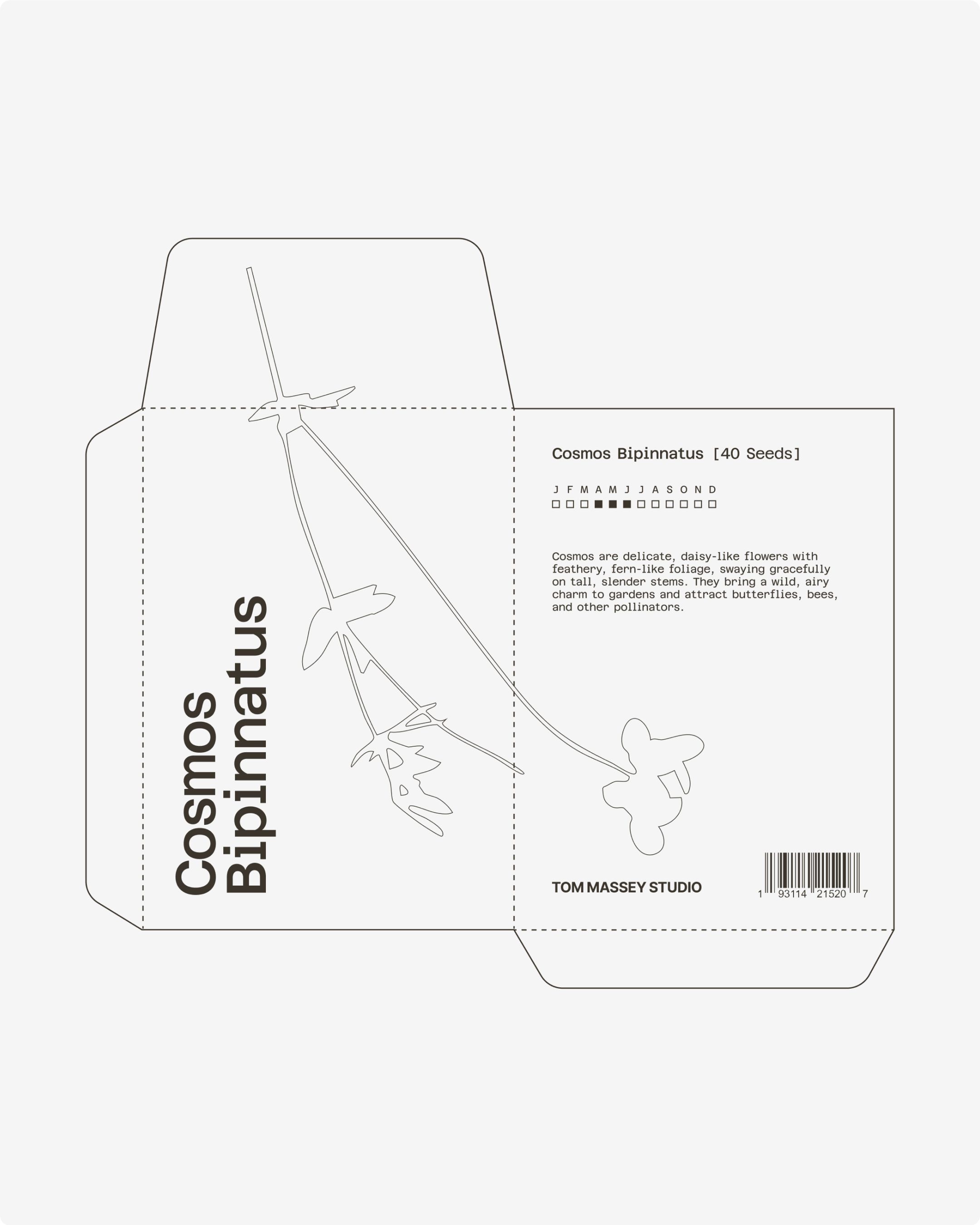 An image of Tom Massey Studio packaging as a key visual