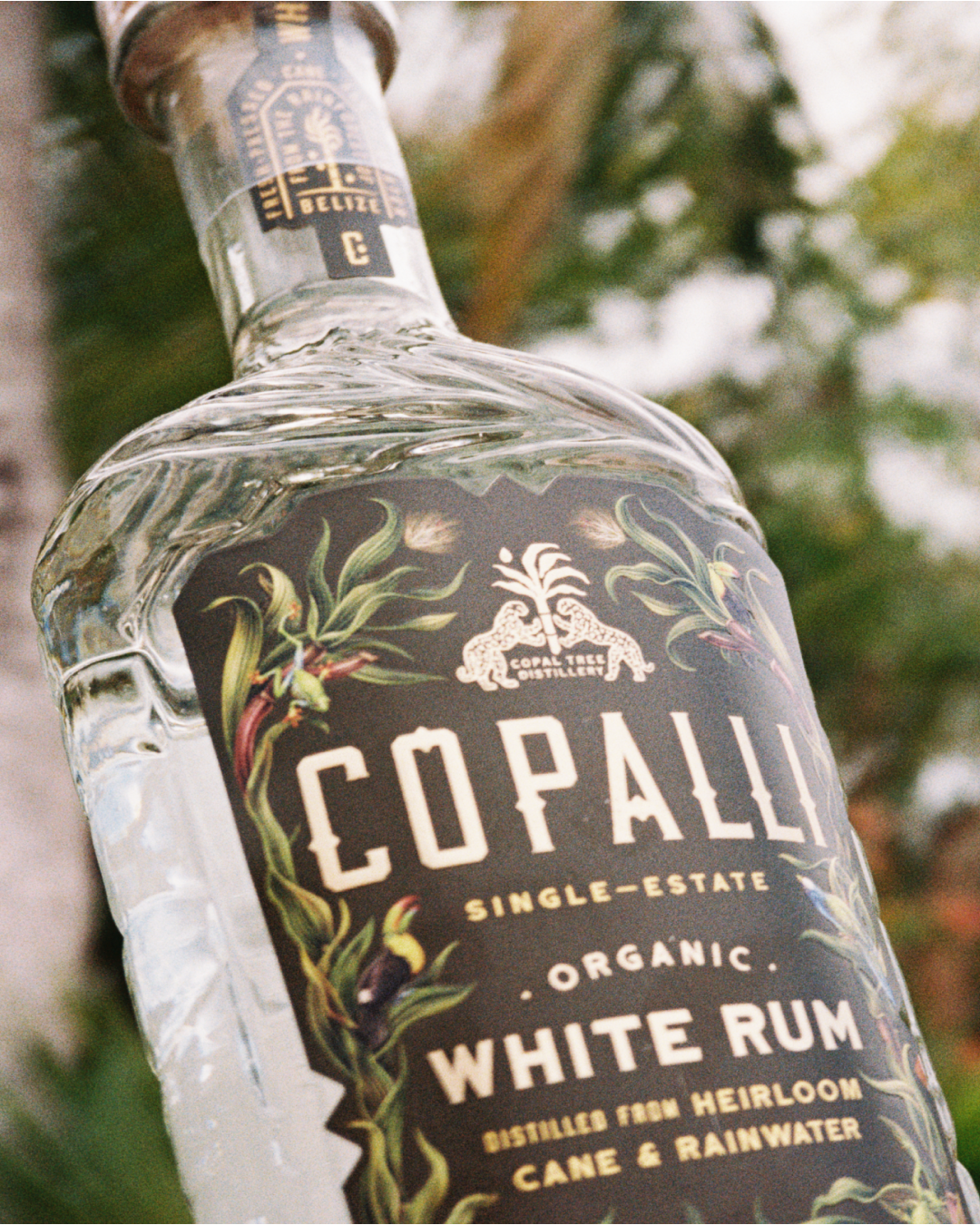 An image of Copalli trip to Belize