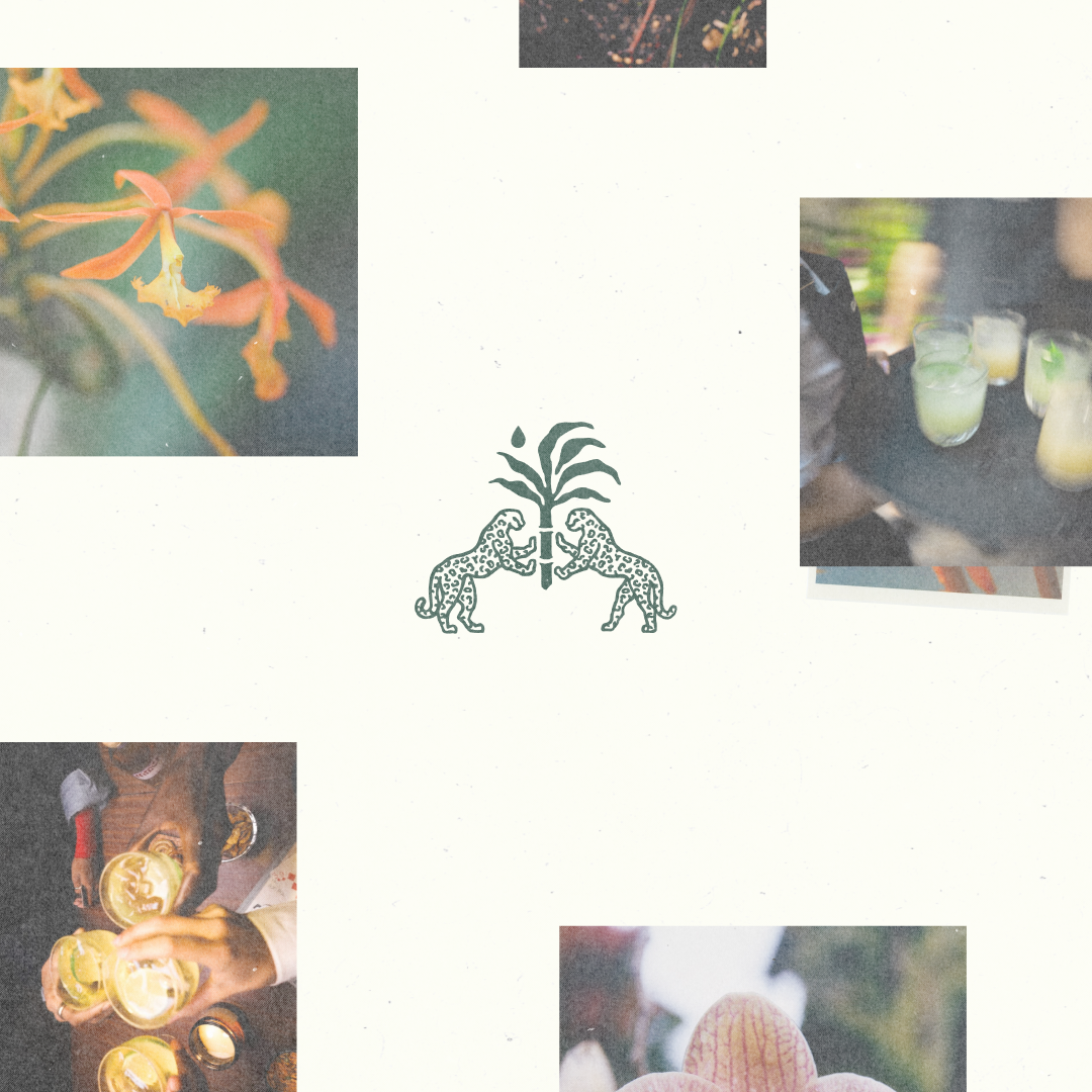 An image Copalli Rum branding and bottle for Bloomberg