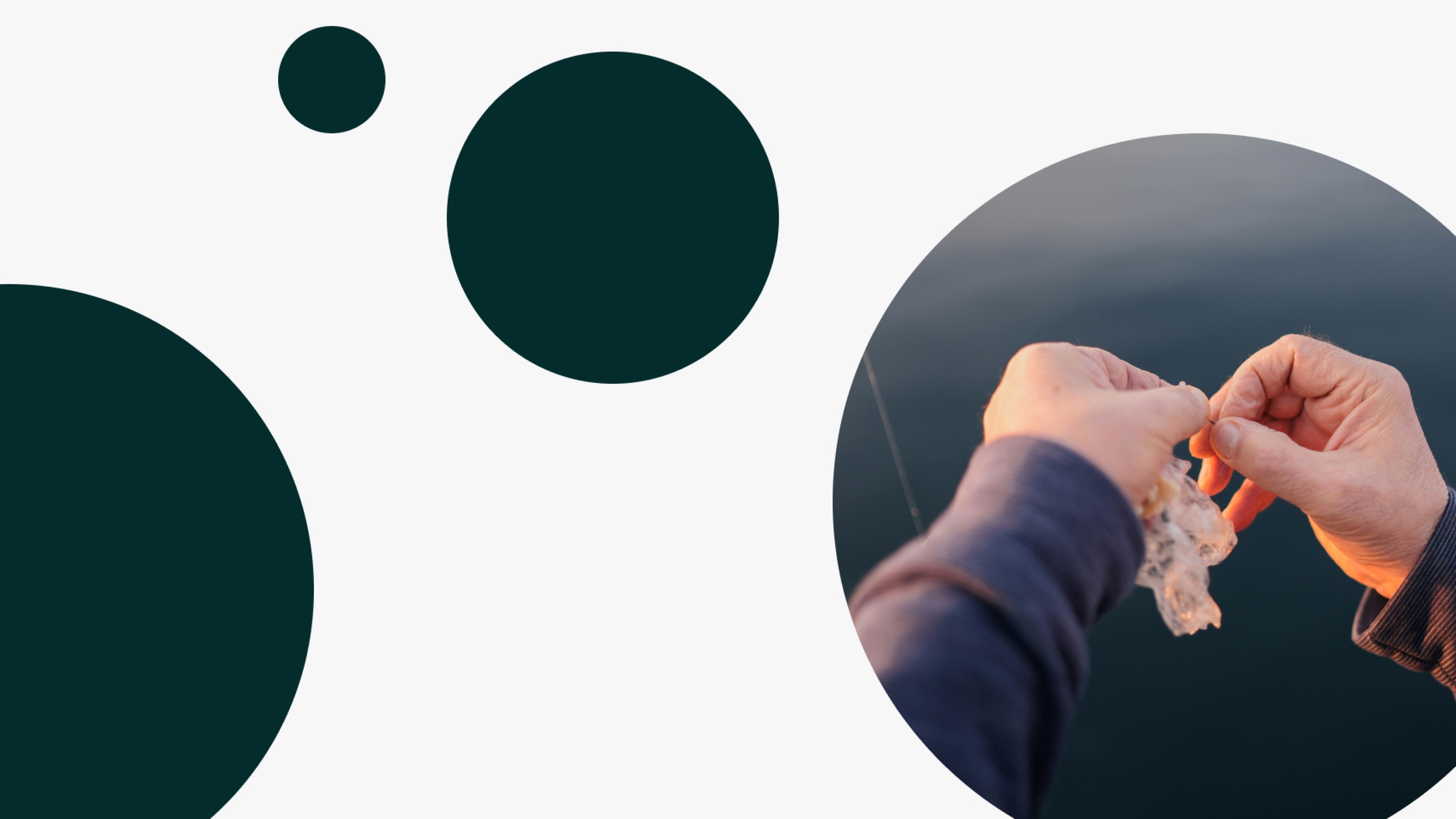 A image of The Earthshot Prize branding as a key visual