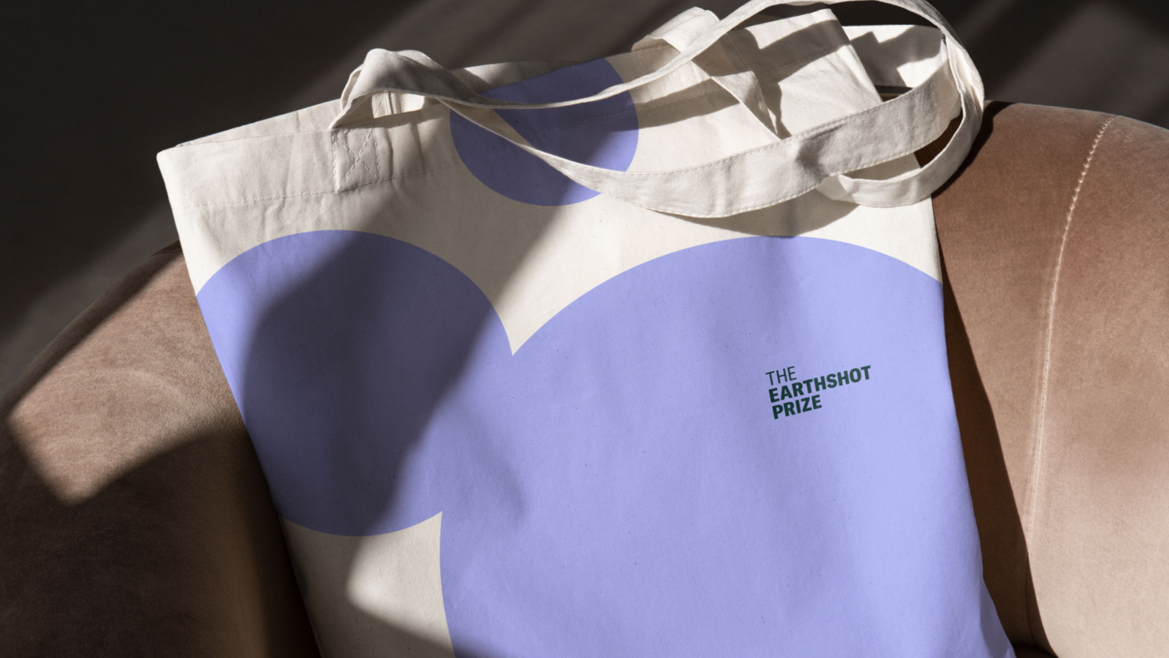 A image of The Earthshot Prize branding on a tote bag